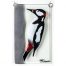Great spotted woodpecker, relief