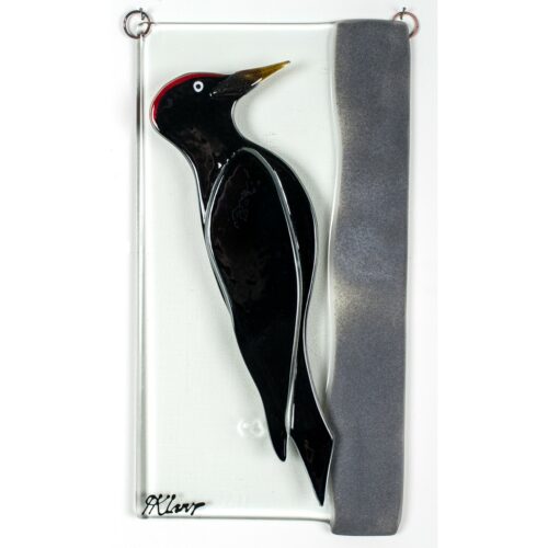 Black woodpecker, relief